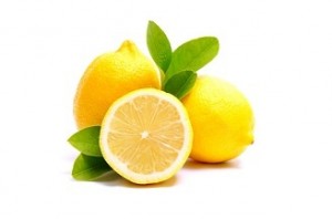 Citrus Limonum